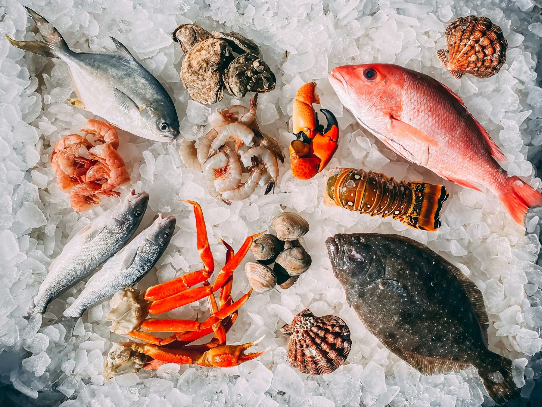 Fresh Australian seafood — oysters and whole fish on ice